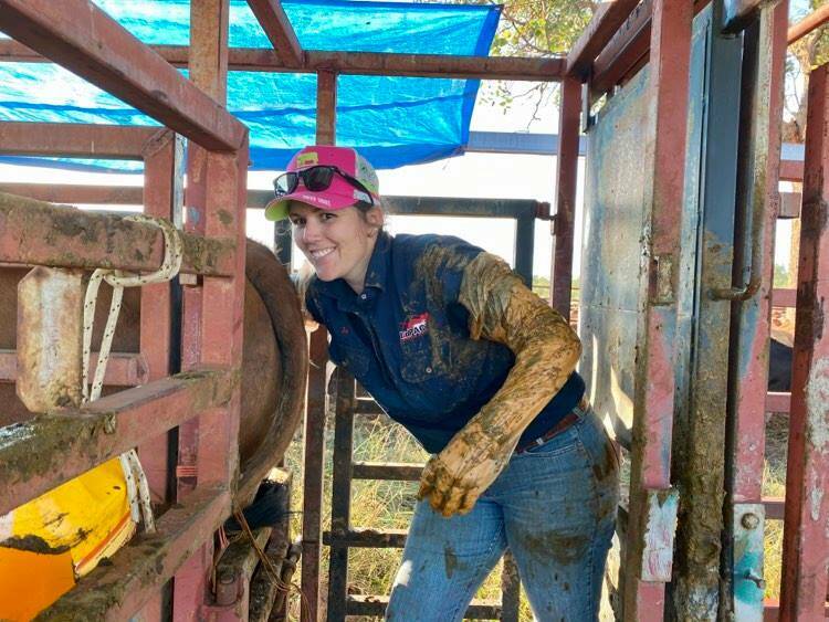 Jo getting her hands dirty, pregnancy testing cattle on a property at Charters Towers.