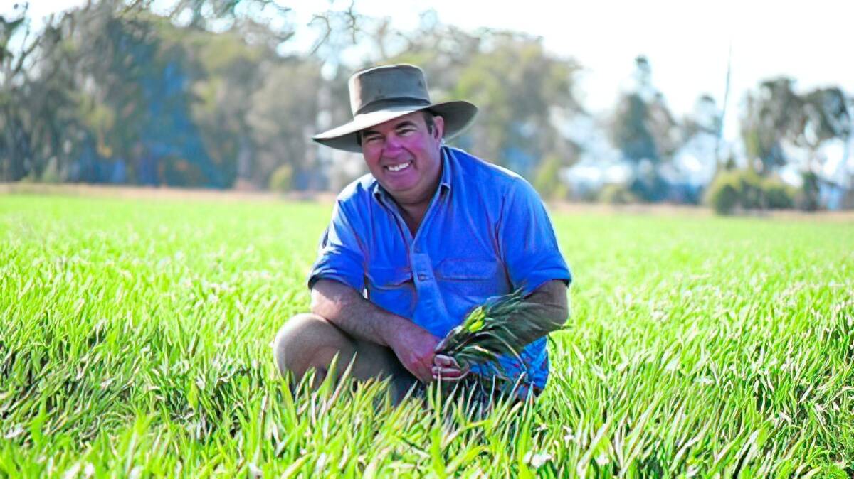 Central Queensland farmer Ian Hutchings uses online grain exchanges as part of his marketing plan. Picture file