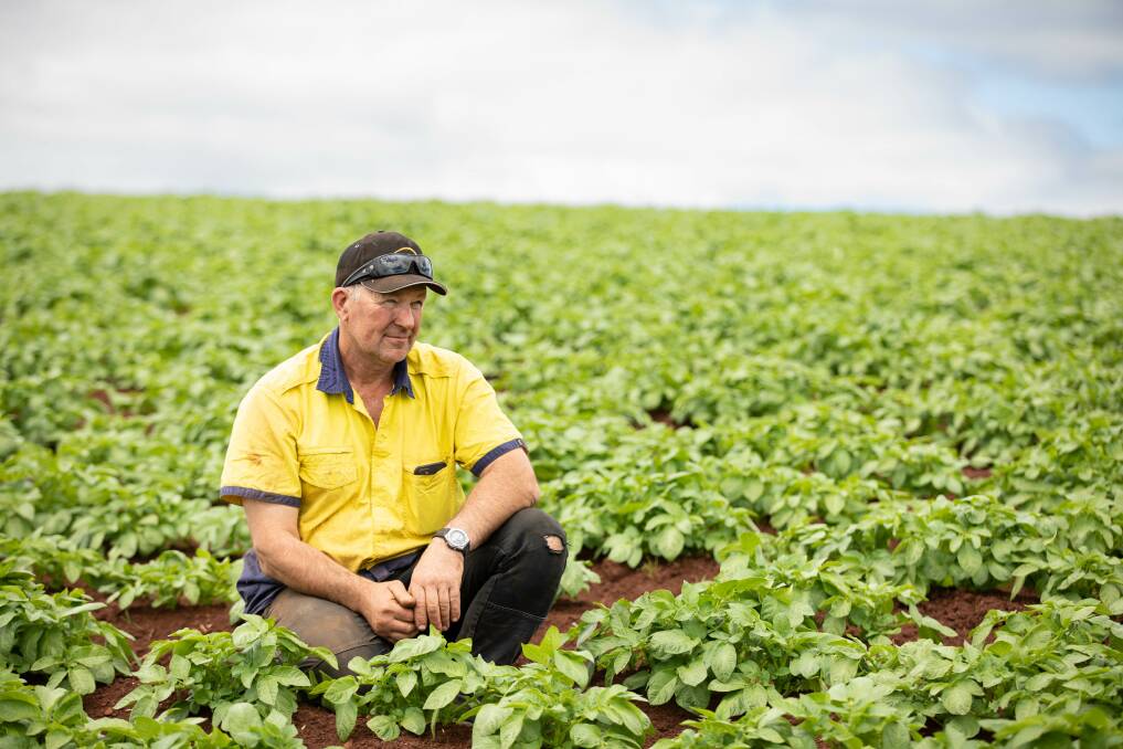 Sassafras farmer Scott Rockliff in his potato field. He says his crop his three weeks behind where it would normally be due to consistent rain. Picture by Eve Woodhouse. 