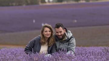 PURPLE BLOOMS: Laura Peluso and Francesco Sangermano of Melbourne at Bridestowe Lavender Estate, Nabowla. Picture: Phillip Biggs