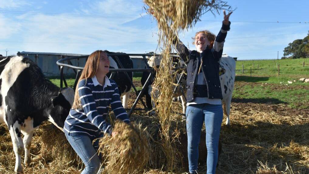 Courtney Afford (left) and her sister, Tegan, on the family's Woods Point dairy farm.