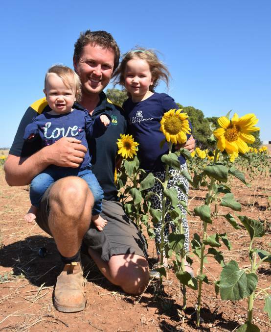 Corbin Shuster with his daughters Evelyn, 1, and Madeline, 5 in the sunflower crop they sold to raise money for charity.