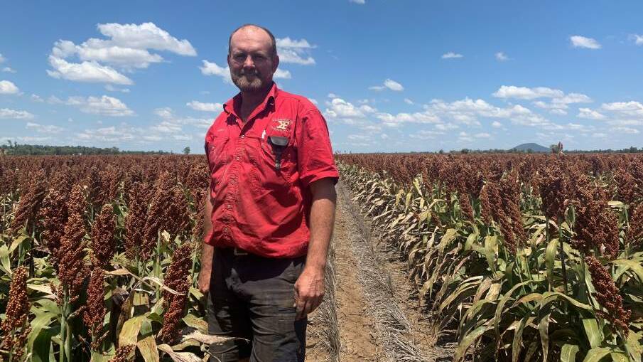 Boggabri farmer Andrew Watson lis enlisting microbats and predatory insects to protect his crops.