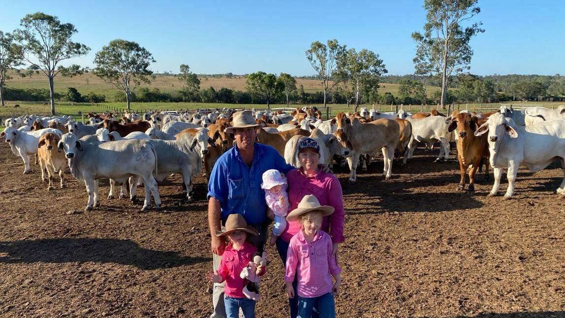 Queensland Brahman breeders Sandy and Jamie McCartney, with their children Elizabeth, Victoria and Georgia, and two-year-old steers.