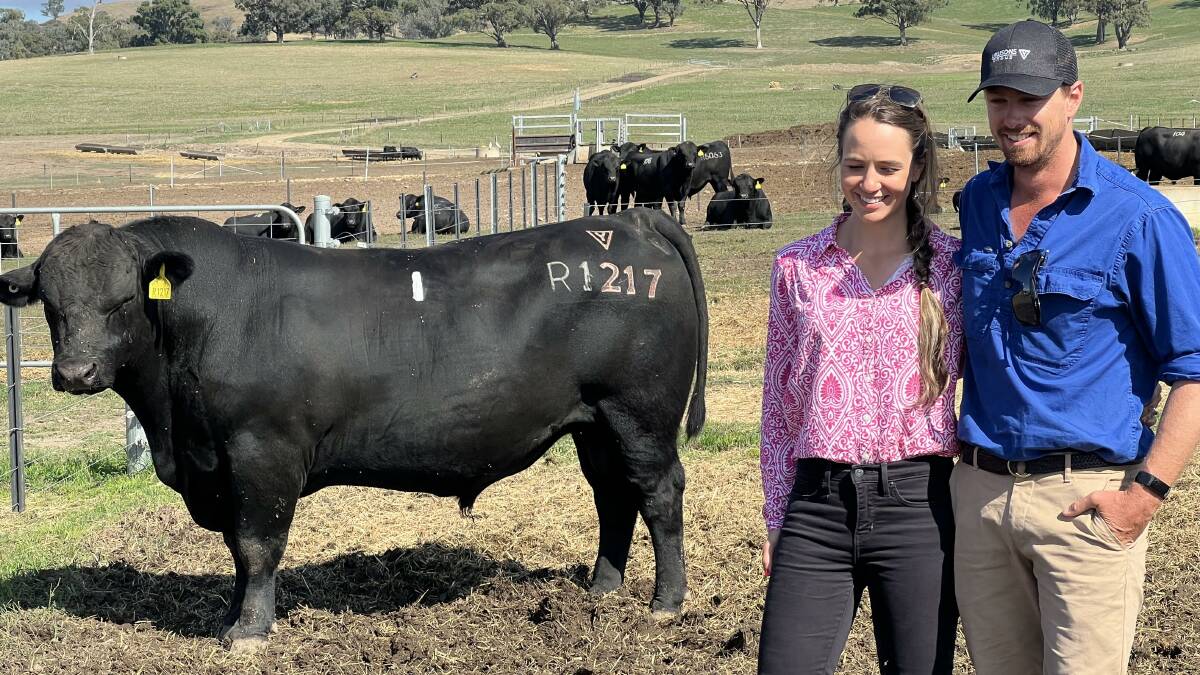 EXCELLENT BUY: Helena and Fergus Whitehead, Tooma, NSW, with their purchase at Lawsons Angus - Lot 1, Lawsons Romulus R1217, which sold for $35,000.