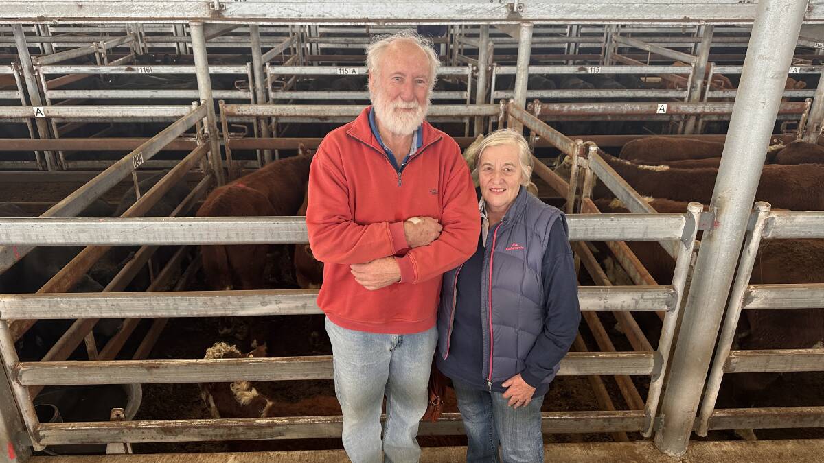 Peter and Jenny Wotherspoon, Wurdi Boluk, sold the last of their three Hereford steers. The couple will now head into a nice retirement after farming for 30 years. Picture by Philippe Perez.