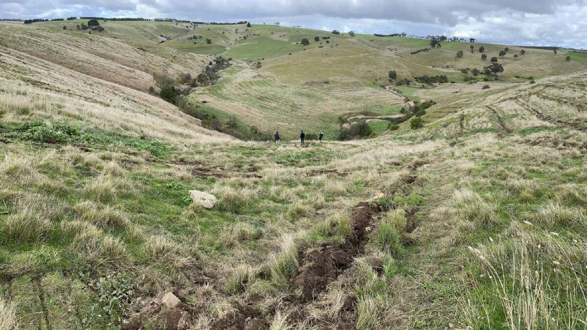 Moonlight Creek, Rokewood, which is up for a State Government environmental award as part of Cassinia Environmental's Natural Agriculture Community project. 