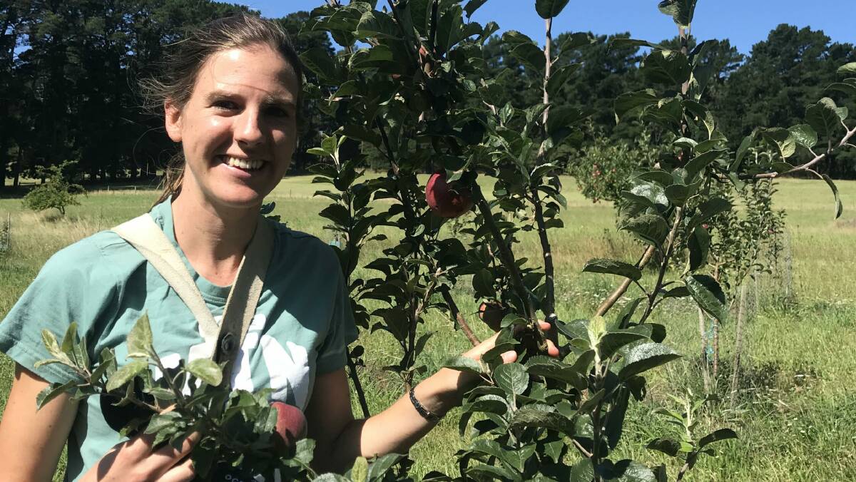 Camilla Humphries said there are m any lessons learned from overseas for the cider industry to improve efficiencies of production to improve returns and minimise waste. Picture supplied.
