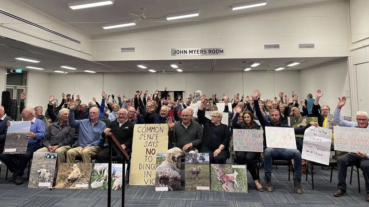 NO DINGOES: Attendees at the Dunkeld meeting voting against proposals to 