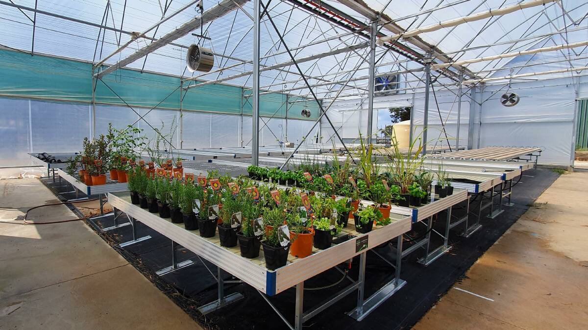 The new hothouse at Shepparton GOTAFE will be established to meet a growing demand in horticulture courses. 