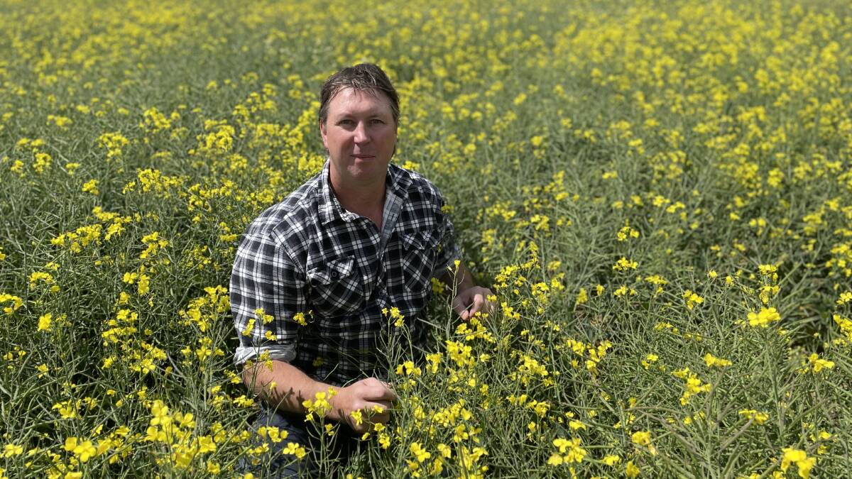 Cropper Nathan Albrecht, Antwerp, said there would be a minimal concerns for his crops if a wetter-than-normal season came about. File picture.