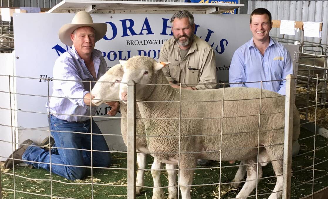 Moora Hills stud principal Linton Price, Bridgewater, with top buyer Todd Burger, Mirridong, Glenthompson and Southern Grampians Livestock stock agent Dylan Praolini with the two top priced rams at their 15th annual sale Lot 3, 21-043 and Lot 6, 21-167tw.