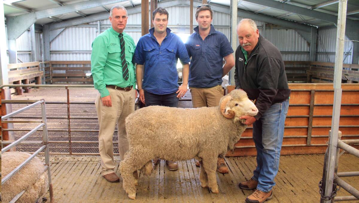 Nutrien south-east stud stock manager Peter Godbolt, Chris and Ben Hartwich from buyer Mt Challicum, Ballyrogan, and Nutrien wool area manager Kevin Bolton with Lot 8 Tag 734 which also sold for $10,000. Picture by Philippe Perez