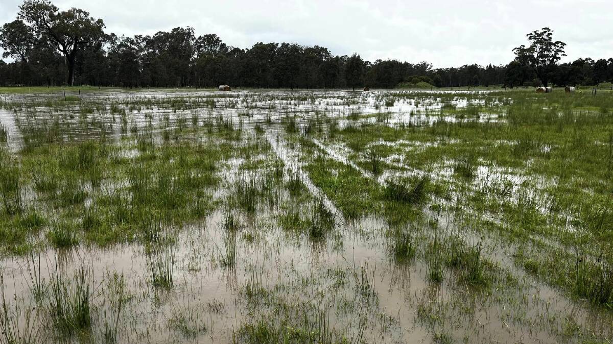 Simon Waters, Tamleugh, says his property Tamleugh Park looks more like a wetland when big rains comes through, but he is expecting a very green landscape once the rain fully subsides. Picture by Simon Waters.