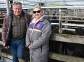 SELLING: Mick and Helen Finnigan, Toolong, who had 110 head of cattle in total on sale throughout the saleyard, most of them dairy stock. Mr Finnigan said this would be their "last ever sale they will attend" as they were selling their farm.