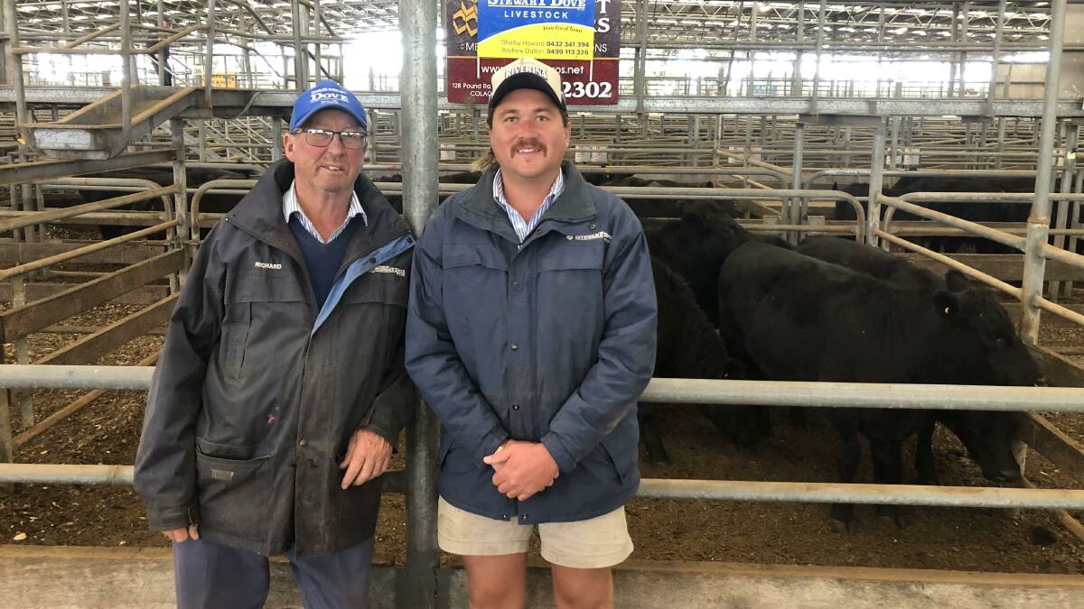 SALE-O: Charles Stewart Dove's Richard McDonald with auctioneer Shelby Howard with their client's pen of Angus and Black Baldy steers at this past Friday's Colac store sale. 