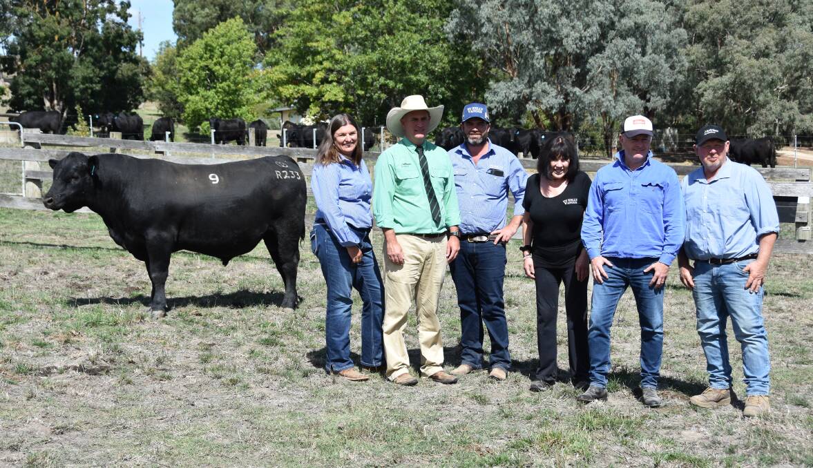 TOP BUYER: Lot 9, Kelly Angus Trailblazer R233PV, sold for $26,000, and is pictured with Kelly livestock manager Cindy Smith, Nutrien stud stock auctioneer Peter Godbolt, Kelly livestock manager Patrick Joyce and owner Vicky Standish, and top buyer Tim Rourke and farm manager Jim Creed.