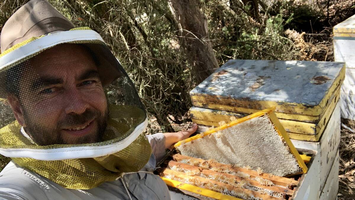 Victorian Apiarists' Association vice president Lindsay Callaway believes its only a matter of time before Varroa mite is seen in Victoria. Picture suppllied. 