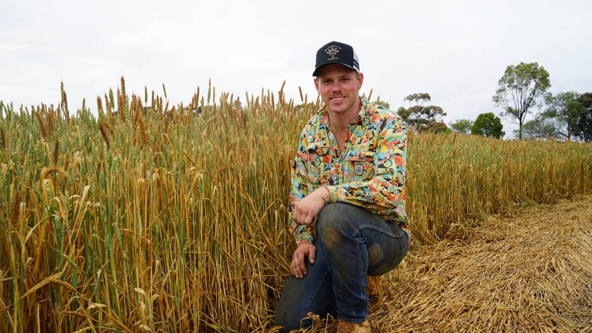 Hugh Macague, Rochester, is three quarters into his harvest and said while he is frustrated by wet weather delays, he's been "extremely fortunate" he's only seeing misty rainfall. Picture by Rachel Simmonds