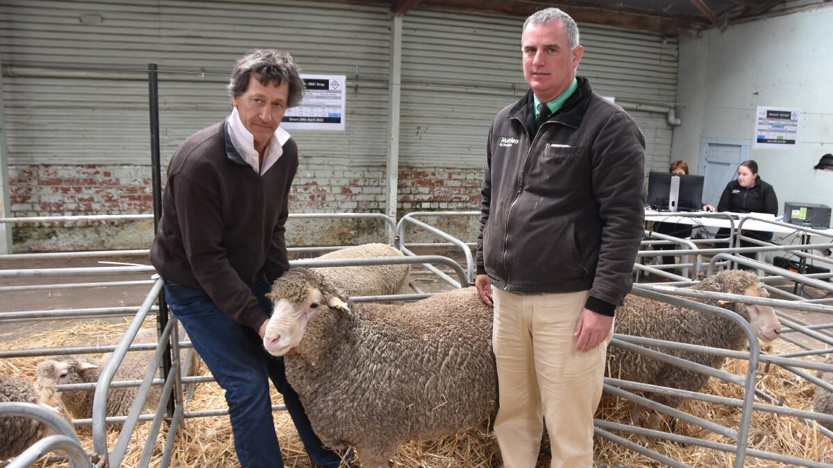 Macquarie stud principal John Nadin, Ballimore, NSW with Nutrien south-east stud stock auctioneer Peter Godbolt and the top-priced Dohne ram Lot 25, tag MD214257 which sold for $1750. Picture by Philippe Perez.