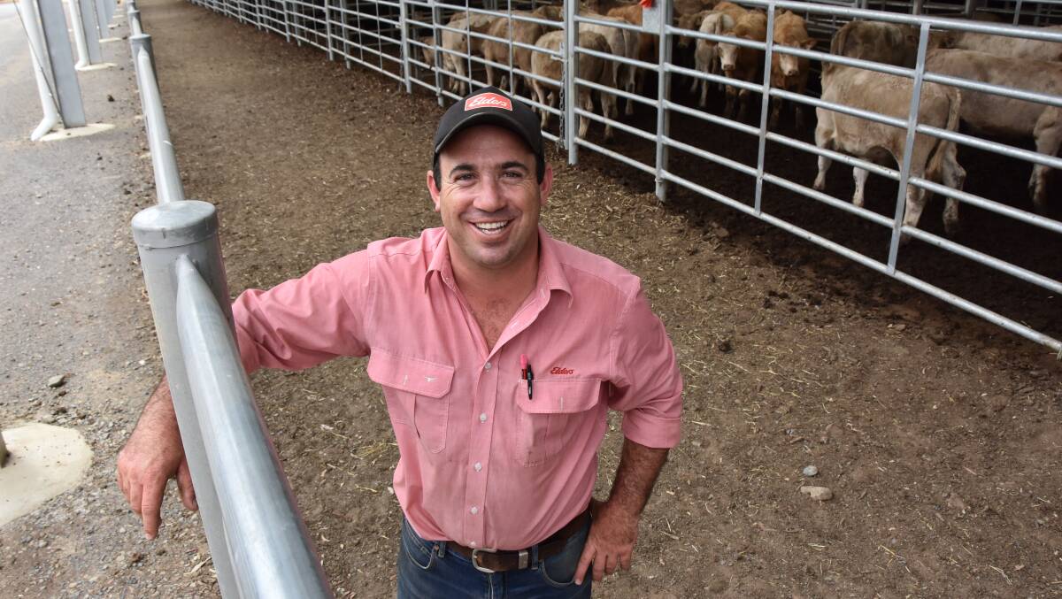 GOOD SALE: Elders livestock manager Morgan Davies says agents were satisfied with the Bairnsdale store sale on Friday, with a slightly higher yarding than last the last stor sale.