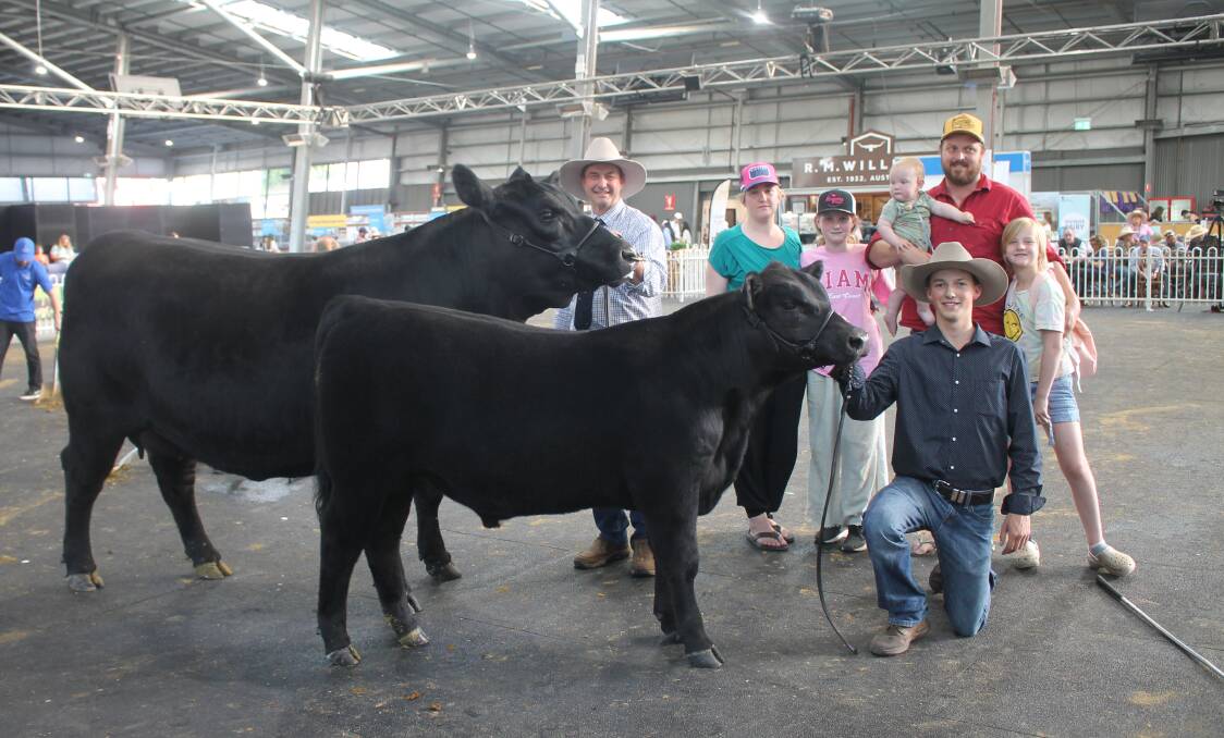 PJ Kite R35 and her five-month calf sold for $15,000 at the Royal Rumble All Breed sale on Saturday. With Phil and Lachie McLauchlan, PJ Cattle Company, Mortlake and Sarah, Layla, Elijah, Eddie and Mahalia Murnane from from Baringa Park Angus, Birregurra. Picture by Philippe Perez