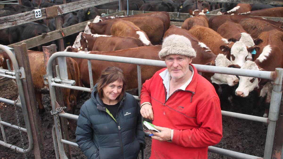 Emma and James Collins, Barro Group, Gisborne yarded more than 70 Hereford and Black Blady cattle at Kyneton's November sale. Picture by Philippe Perez