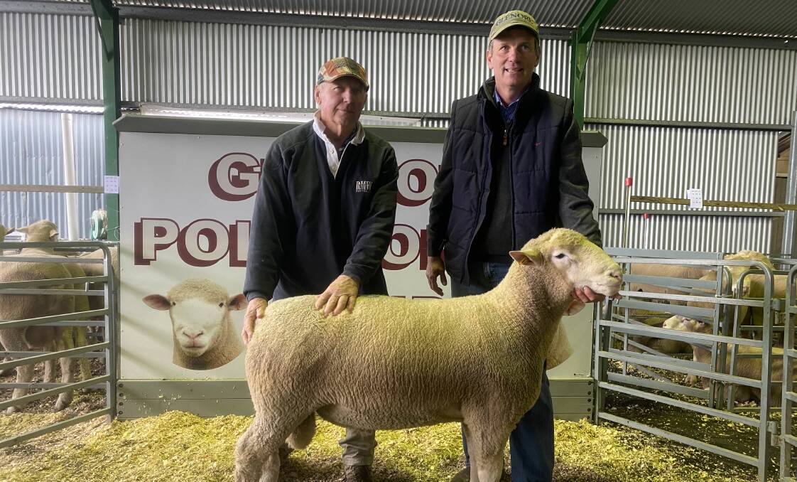 Greg Cooper, Linara, Stawell and Peter Cain, Glenore, Carisbrook with top price Lot 8, Glenore 151-21 sold at the Glenore 12th Annual Ram Sale. Picture supplied.