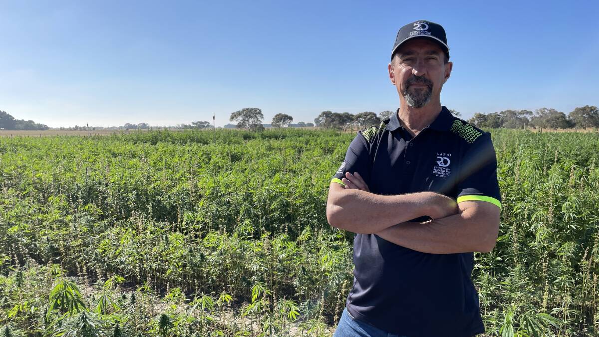 National coordinator for AgriFutures' Industrial Hemp Variety Trial Mark Skewes believes there is huge potential for the industrial hemp industry in the country. Picture by Philippe Perez.