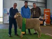 SOLD: The top-priced ram, Lot 84, M38497, at the Glenelg Regional Merino Field Day with vendor Robert Harding, Glendonald, Nhill and purchasers Will Staude and Hamish Griffiths representing Staude Partnership.
