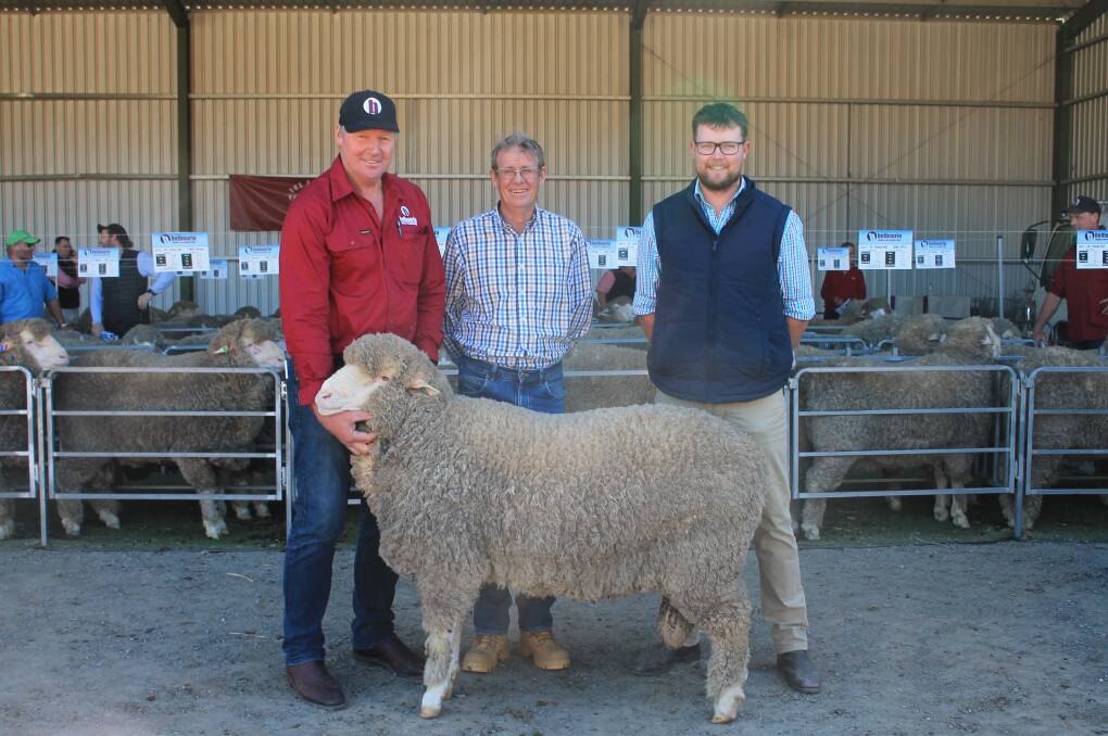Belbourie stud principal Paul Hendy and buyers Malcolm and Hayden Cox, Bocoble, Eumungerie, NSW with their top priced ram Lot 4 Brown 985 which they bought for $6000. Picture by Philippe Perez