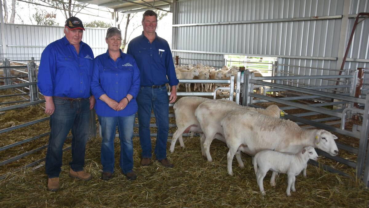 Brendary co-stud principals David and Carey Brennan, Gil Gil with Scott Norman, Moyston with a number of his top ewe purchases at Brendary's inaugural sale.
