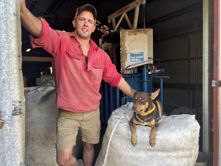 Shearing contractor Adam Webb, Kamarooka, believes conditions for shearers are getting better as more enter the industry, but contractors are still getting creative to find shearers. Picture by Joely Mitchell.