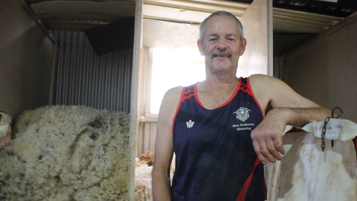 Robert 'Bert' Parks, Lancefield has been finding consistent shearer work throughout the 2023/24 season. Picture by Philippe Perez