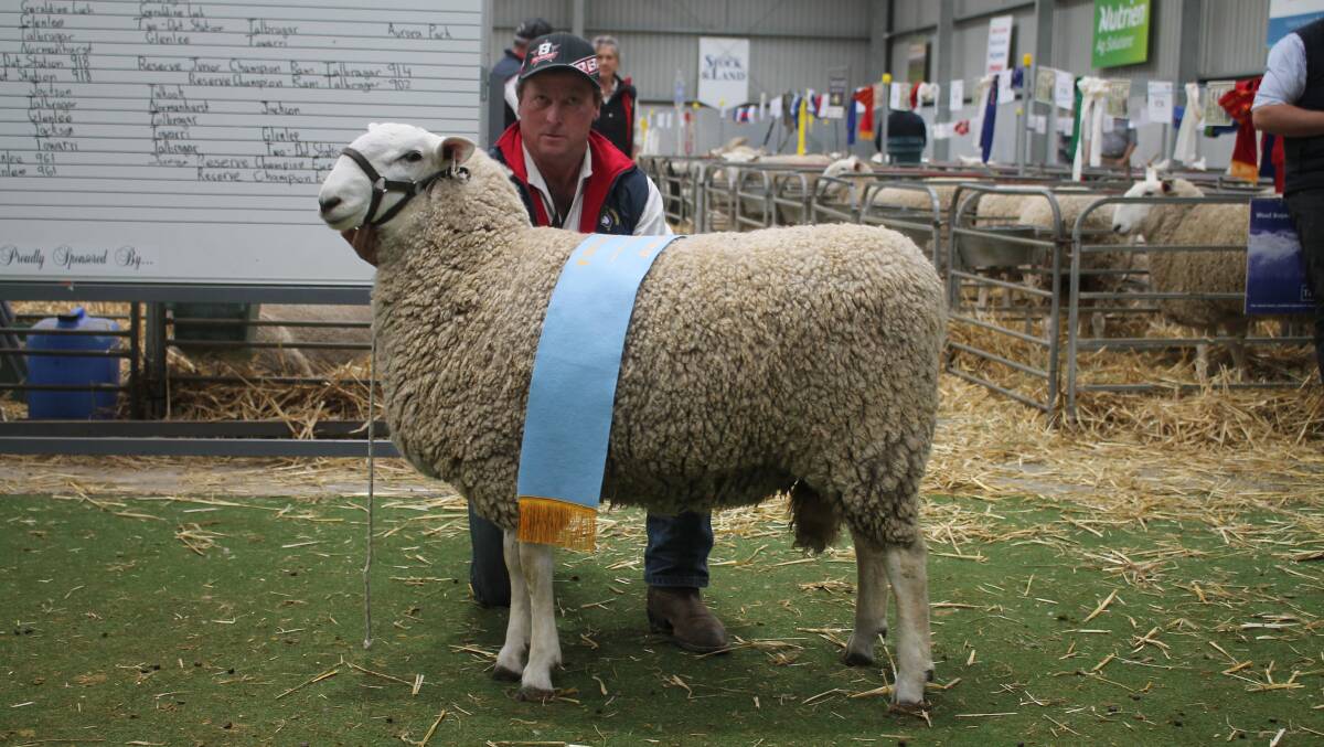 Ross Jackson with his supreme champion ram in the Border Leicester competition at this year's ASWS. Picture by Philippe Perez