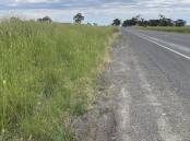 Victorian farmers are calling for urgent roadside vegetation maintenance ahead of summer, with repairs needed to slash grass and prune trees on country roads. File picture.