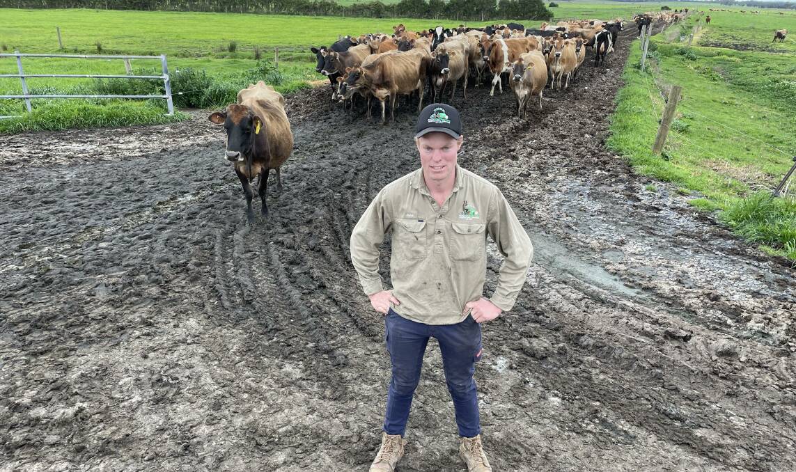 Jake Seuren, Gippsland Jersey, Lang Lang, believes it is becoming more beneficial to hire skilled local workers over migrant workers for his farm. Picture by Bryce Eishold.