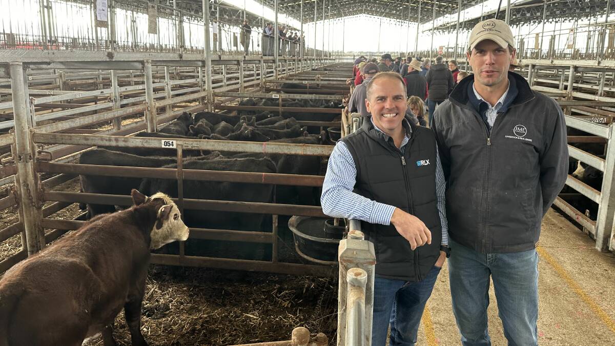 RLX chief executive Brett Freer & JM Ellis agent Sandy Robinson with a charity Hereford steer donated by Woodlawn Pastoral, 470kg, sold for $2200. RLX bought the steer and then donated it back, with Teys handling it for 300c/kg, raising $3600 for the Good Friday Appeal. Picture supplied by Liz Fowler. 