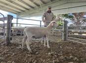 Low Footprint Lamb stud principal Matt Kelly, Croxton East, with his top priced Nudie ram Lot 12, which sold for $10,000 to Lochs Farming, Hordern Vale. Picture supplied