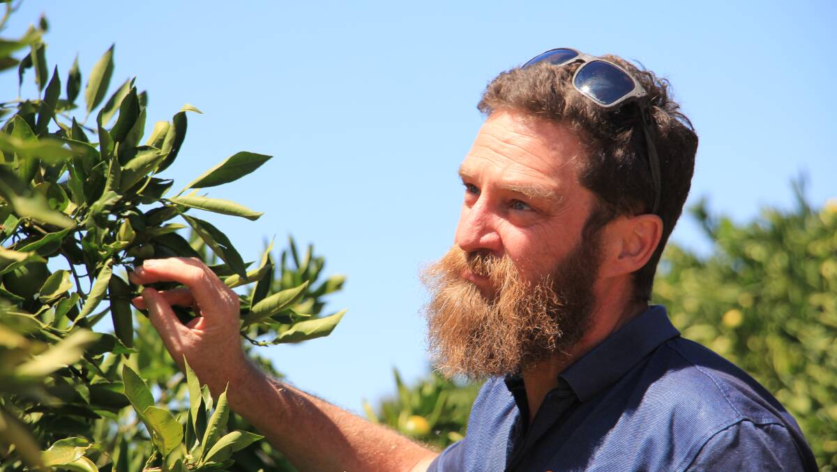Citrus Australia chief executive Nathan Hancock says a commissioned should be appointed to address critical accommodation and labour shortages in their sector. Picture supplied.