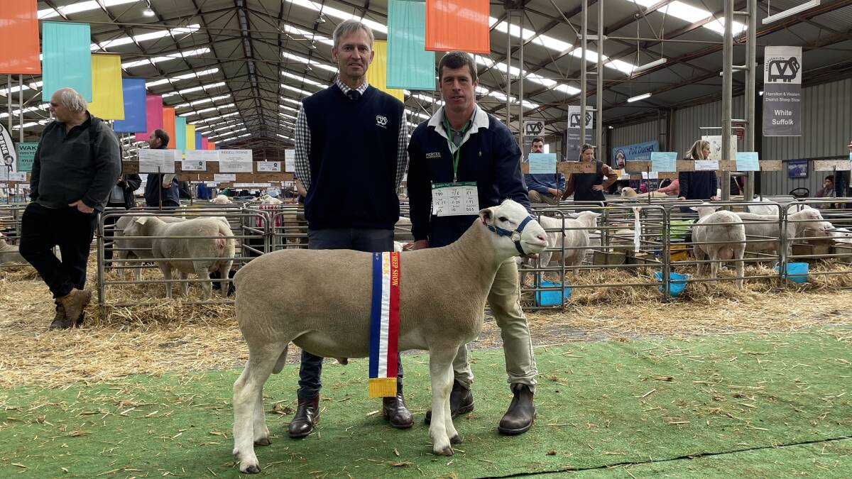 Mertex stud co-principal Tim Jorgensen, Antwerp, with his supreme ram champion and Sheepvention White Suffolk judge Pewter Angus, Maroola, Mallala, SA. Picture by Philippe Perez