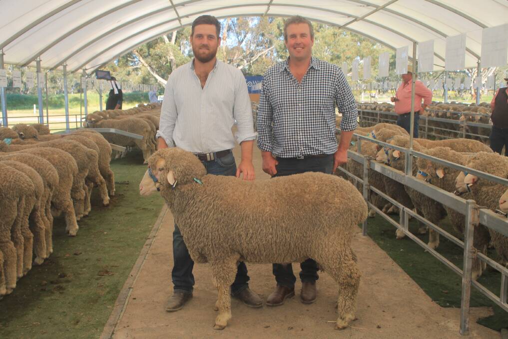 Buyer Jack Sykes, VHS Agriculture, Humula, NSW and Wallaloo Park stud co-principal Trent Carter, Marnoo with Wallaloo Park's top priced ram Lot 16 22-1445 which sold for $18,000. Picture by Philippe Perez 