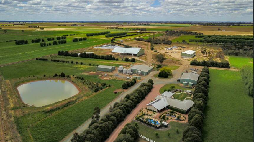 BIG SALE: The property at Bamawm bought by Absolute Angus is more than 400 acres and is currently running more than 500 cattle.