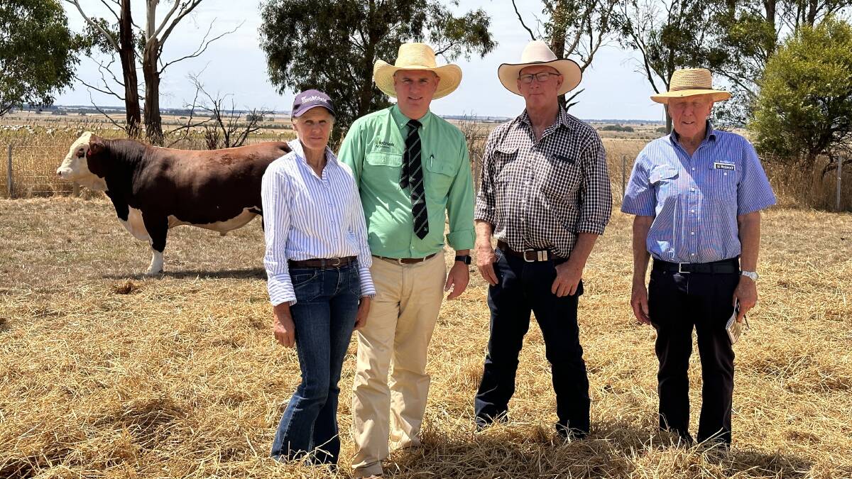 Ennerdale stud co-principal Kate Luckock, Dundonnell, Nutrien stud stock manager Peter Godbolt, Andrew Green representing Glendan Park, Kyneton, and Charles Stewart & Co livestock manager Peter McConachy. Picture by Philippe Perez 