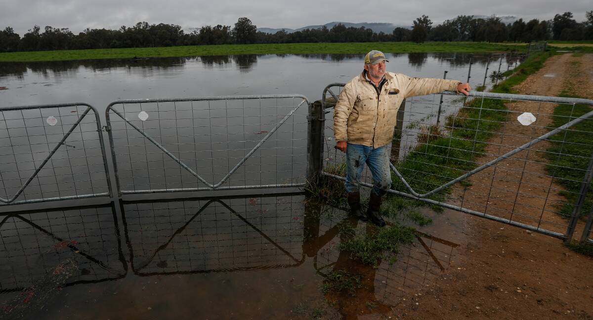 Andrew Watson, Kensal Green, Bungowannah, NSW, has significant access issues due to flooding from the Murray River. Picture by James Wiltshire.