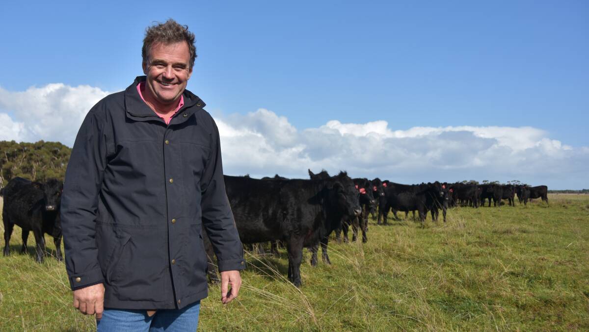 BEAUTIFUL GENETICS: Director of Te Mania Angus Tom Gubbins says there are encouraging signs for improving genetics sustainably 