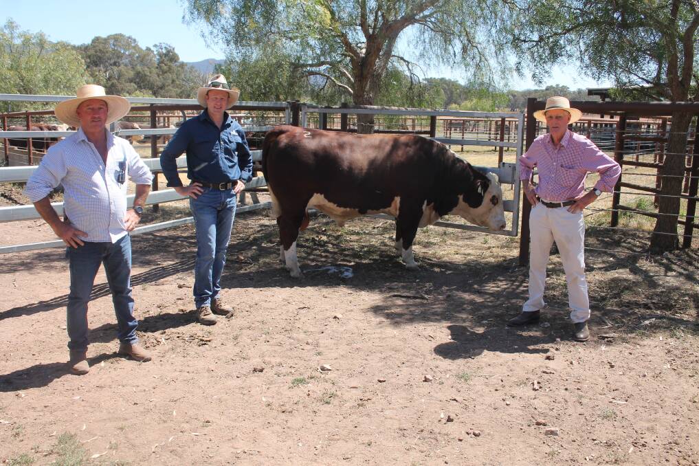 Yarram Park cattle manager Michael Peterson and Yarram Park general manager Craig Brewin, Willaura and Barry Newcomen, Newcomen Herefords, Ensay who bought Lot 2 Yarram Emperor T151 for $50,000 in partnership with Amos Vale Herefords, Pinkett, NSW.