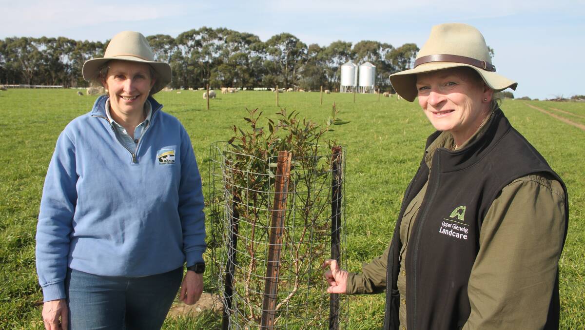 President of the Wando River Landcare group Kate Dorahy and Upper Glenelg Landcare facilitator Lynn Brown with a scatter tree planted on Ms Dorahy's Nareen property. Picture by Philippe Perez