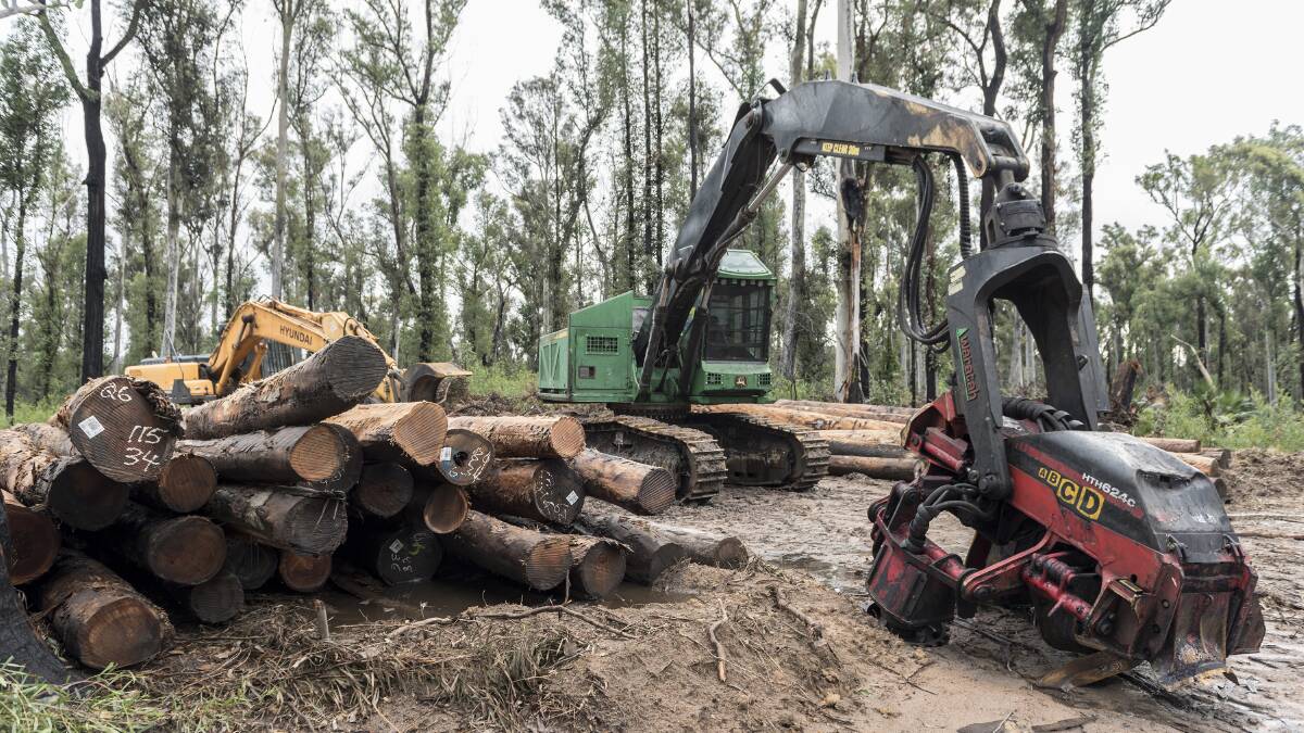 New packages have been announced for workers who have been working in the native timber industry. File picture
