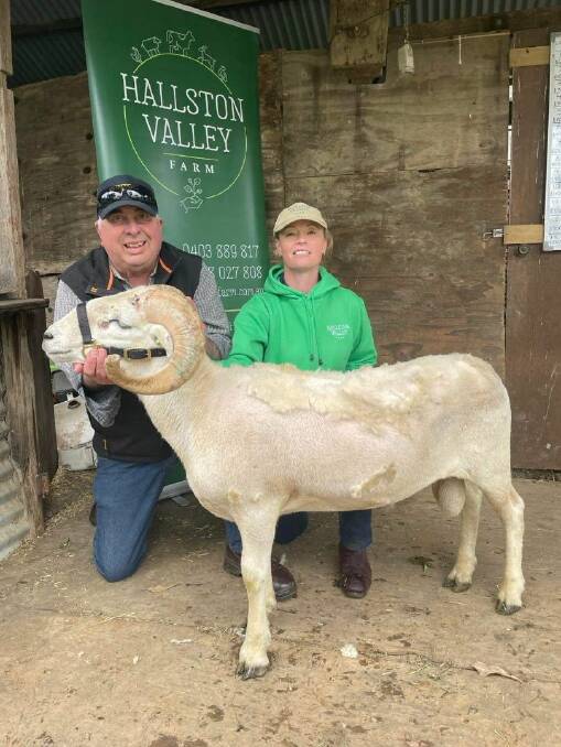 Rod Allen, Mirboo with stud principlal, Jill Noble, Hallston Valley with top priced ram Lot 3, Yellow 19. 